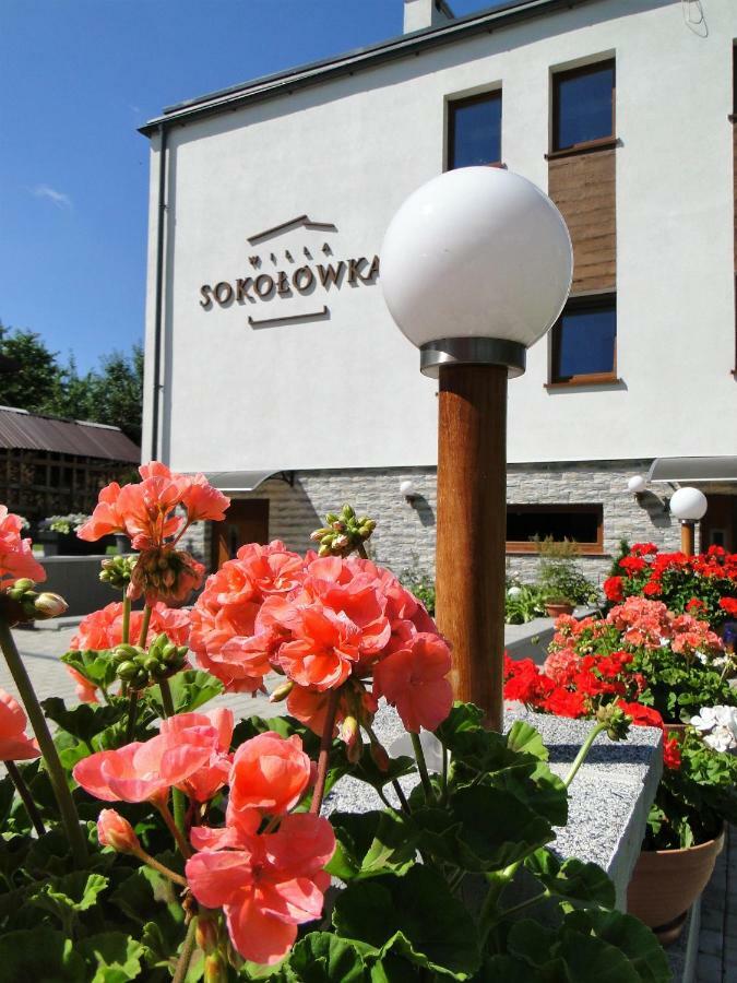 Willa Sokolowka Polanica-Zdrój Eksteriør bilde